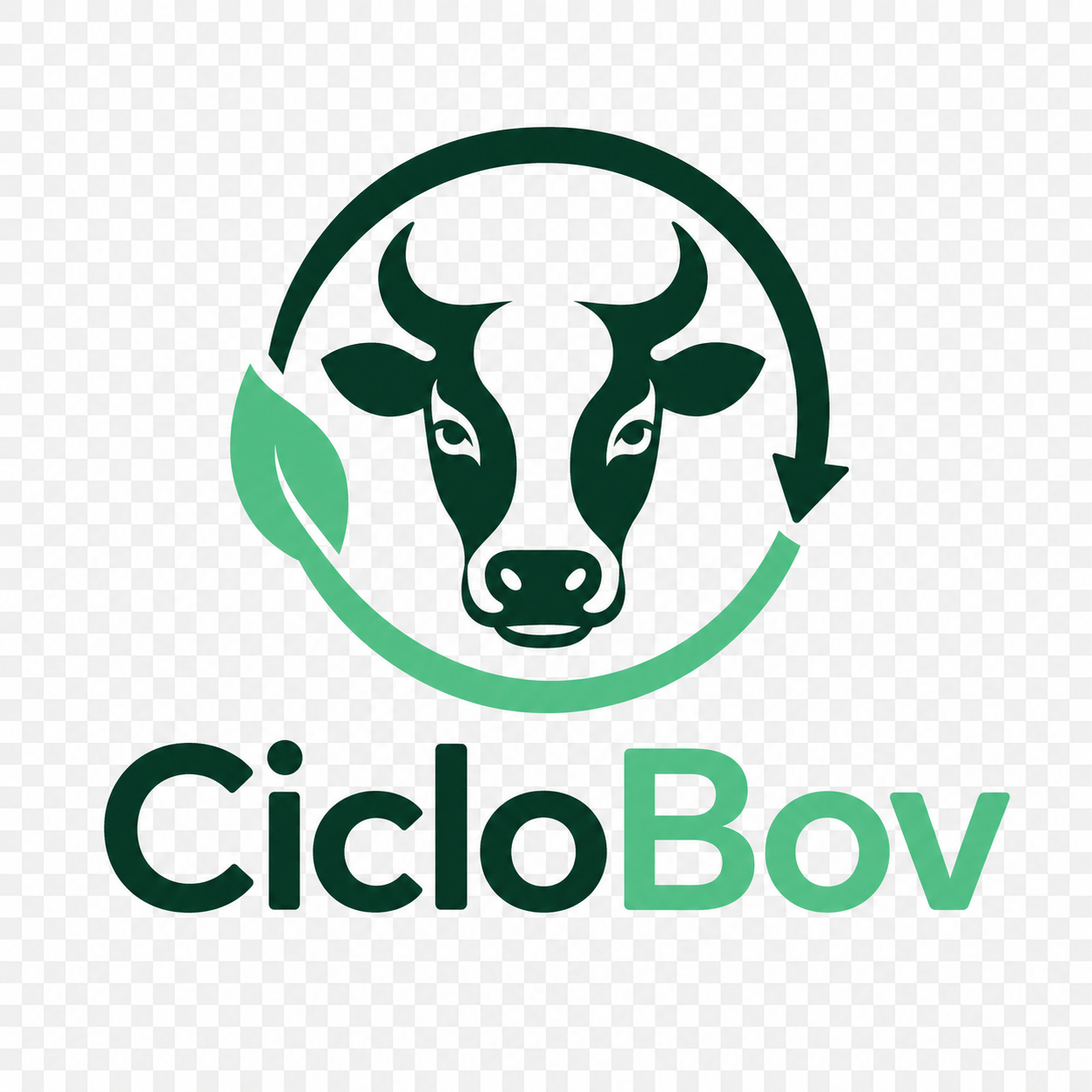 CicloBov